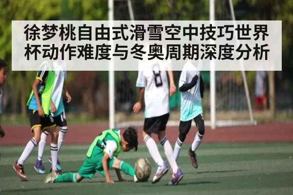 徐梦桃自由式滑雪空中技巧世界杯动作难度与冬奥周期深度分析